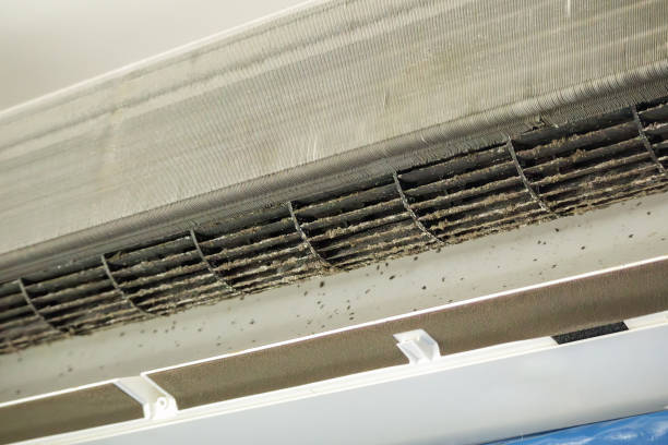 Best Air Duct Mold Removal  in Centerville, GA